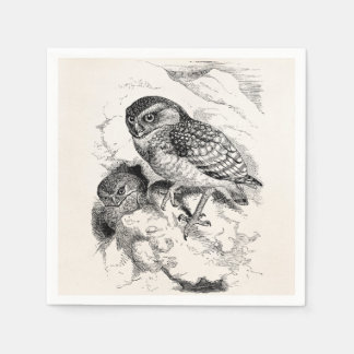 Vintage Burrowing Owl Chick Bird Illustration Paper Napkins