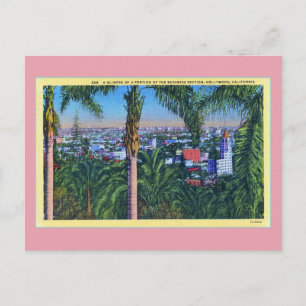 Vintage Business section Hollywood CAL Postcard