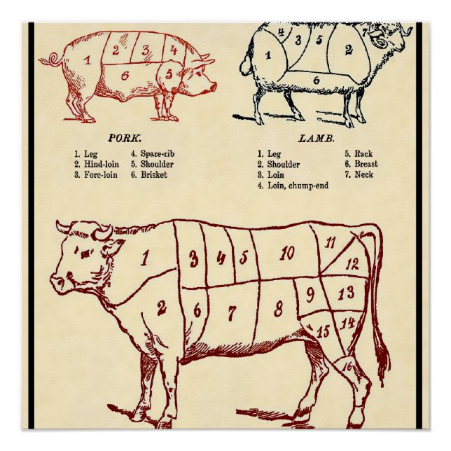 Vintage Butcher's Guide c. 1924 Poster (Front)