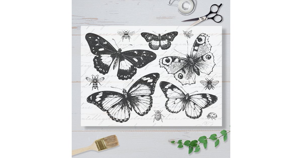 Vintage Butterflies and Bees Tissue Paper | Zazzle