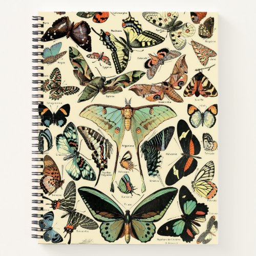 Vintage Butterflies by Adolphe Millot Notebook