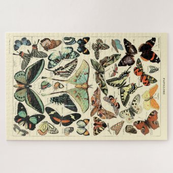 Fleurs - Blumen Für Alle Puzzle 1000 Teile – Vintage-Kunst Von Adolphe Millot, Für Erwachsene | Premium-Puzzle