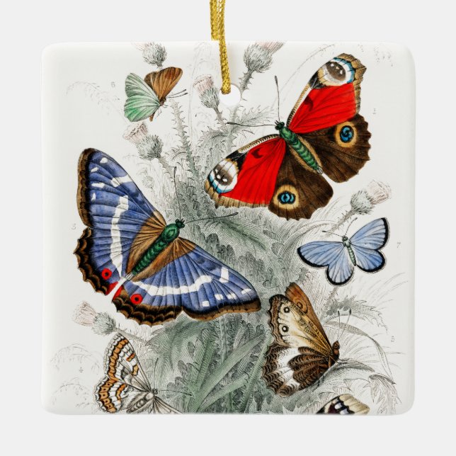 Vintage Butterflies Ceramic Ornament (Front)