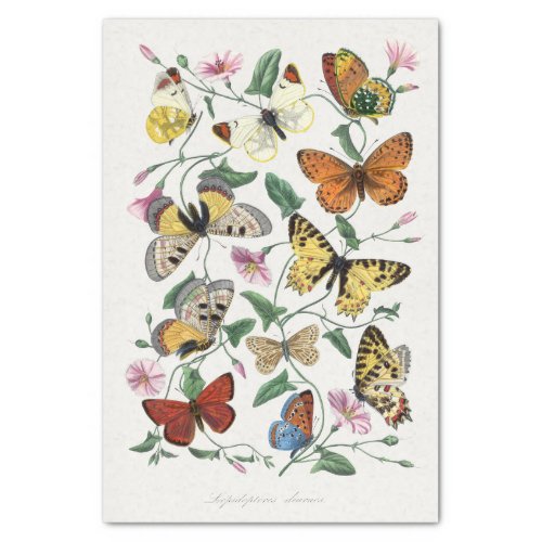Vintage Butterflies Decoupage Tissue Paper