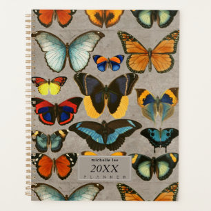 Vintage Butterflies Entomology Colorful Biology Planner