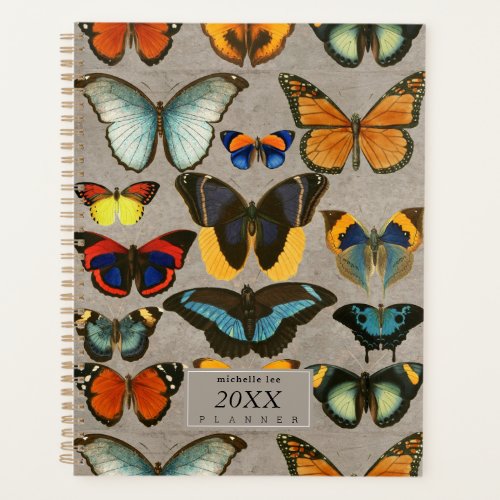 Vintage Butterflies Entomology Colorful Biology Planner