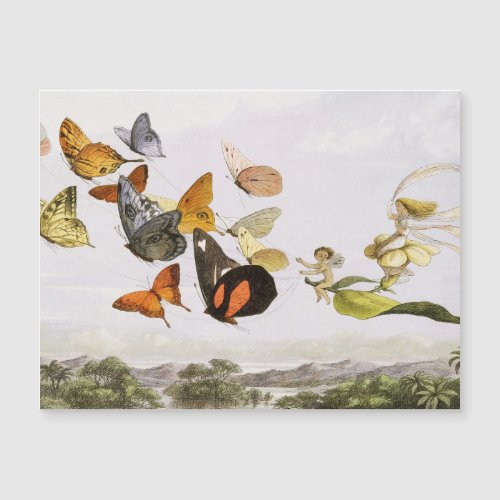 Vintage Butterflies  Fairy Old Illustration Art
