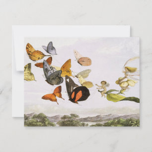 Vintage Butterflies & Fairy Old Illustration Art Card