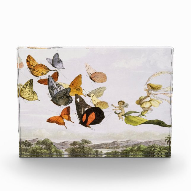 Vintage Butterflies & Fairy Old Illustration Art Photo Block (Front)