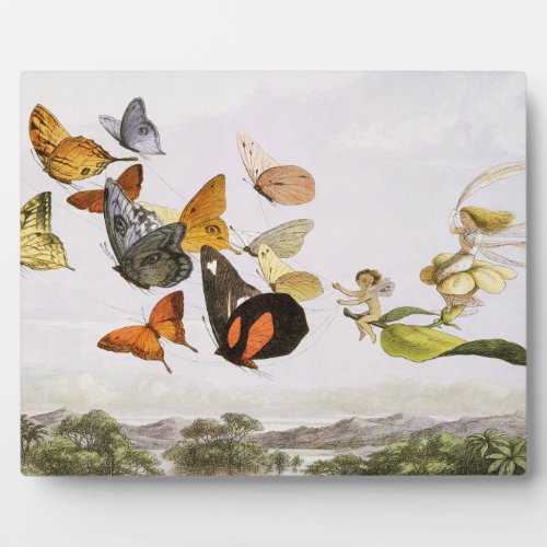 Vintage Butterflies  Fairy Old Illustration Art Plaque