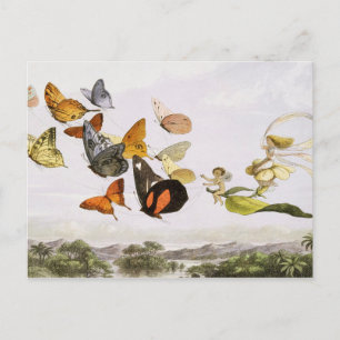 Vintage Butterflies & Fairy Old Illustration Art Postcard