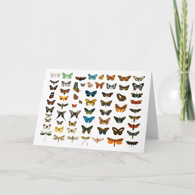 Vintage Butterflies Illustration Art Card (Front)