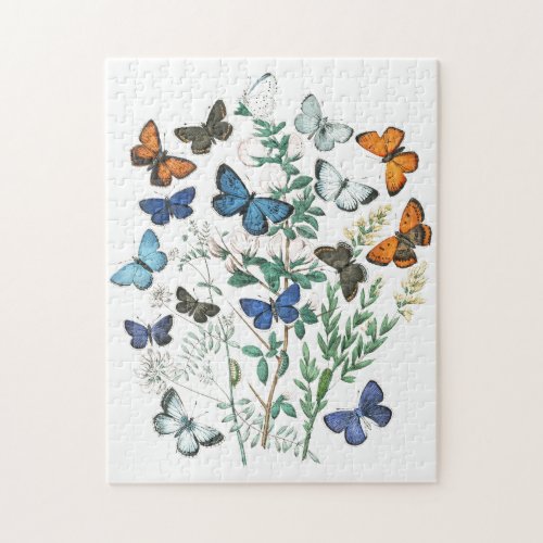 Vintage Butterflies Illustration Jigsaw Puzzle