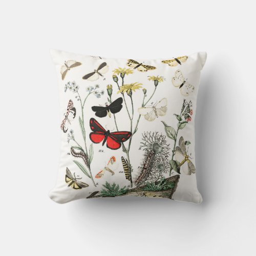 Vintage Butterflies Illustration Throw Pillow