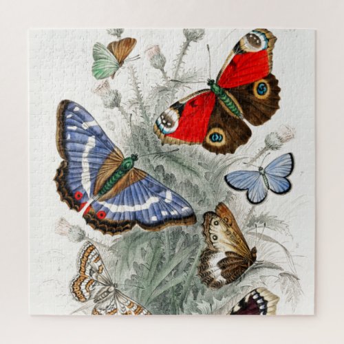 Vintage Butterflies Jigsaw Puzzle