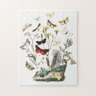 Vintage Butterflies & Moths Illustration Art Jigsaw Puzzle
