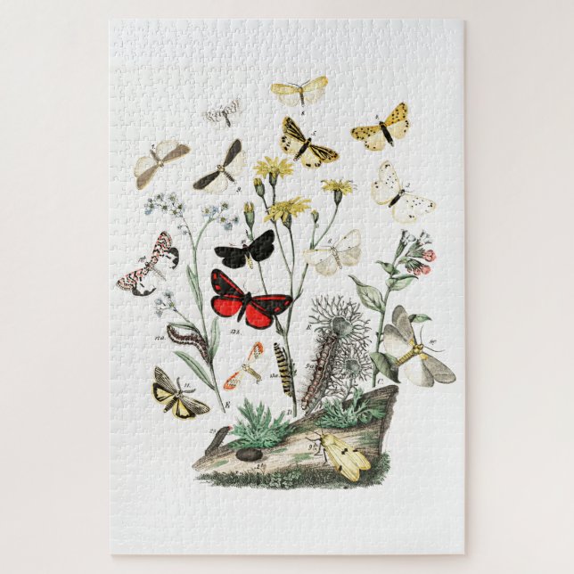 Vintage Butterflies & Moths  Illustration Art Jigsaw Puzzle (Vertical)