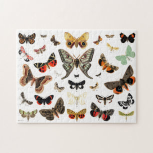 Vintage Butterflies & Moths Illustration Art Jigsaw Puzzle