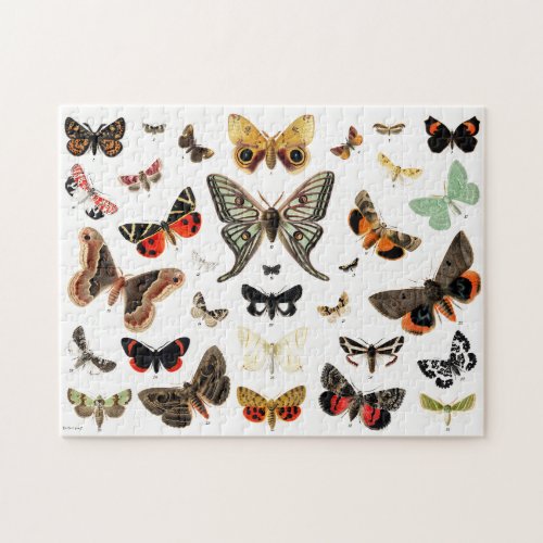 Vintage Butterflies  Moths  Illustration Art Jigsaw Puzzle