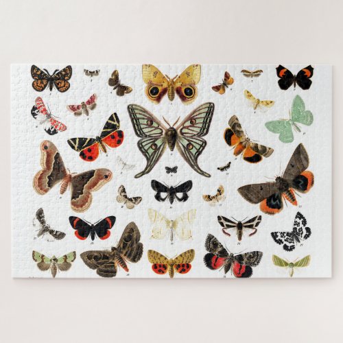 Vintage Butterflies  Moths  Illustration Art Jigsaw Puzzle