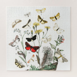 Vintage Butterflies & Moths Illustration Art Jigsaw Puzzle