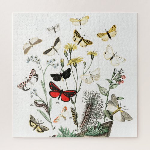 Vintage Butterflies  Moths Illustration Art Jigsaw Puzzle