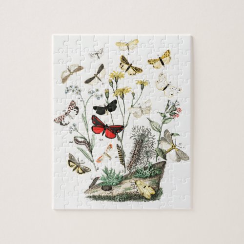 Vintage Butterflies  Moths Illustration Art Jigsaw Puzzle