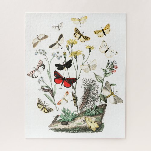 Vintage Butterflies  Moths Illustration Art Jigsaw Puzzle