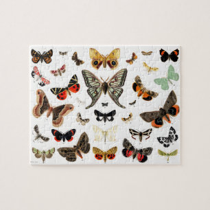 Vintage Butterflies & Moths  Illustration Art Jigsaw Puzzle