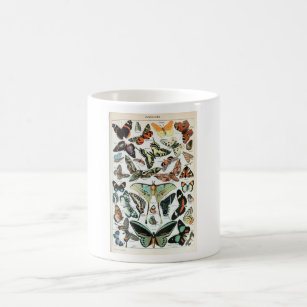 Vintage Butterflies of the World Coffee Mug