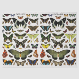 Vintage Butterflies Pattern Collage Decoupage Tissue Paper