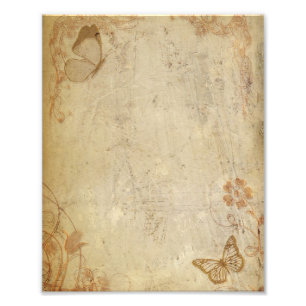 Vintage Butterflies Photo Print