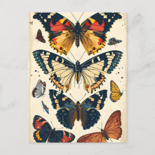 Vintage Butterflies Postcard