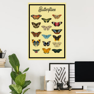 Vintage Butterflies Poster