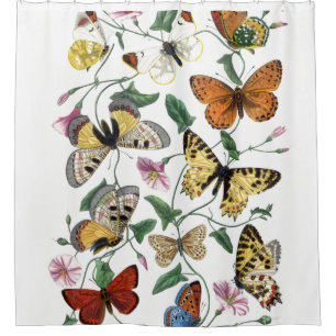 Vintage Butterflies Shower Curtain