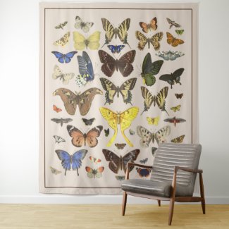 Vintage Butterflies Wall