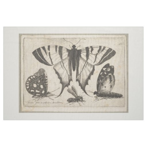 Vintage Butterflies Wasp Insect Tapestry (01) Fabric