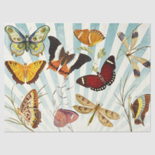 Vintage Butterfly and Dragonfly Tissue Paper