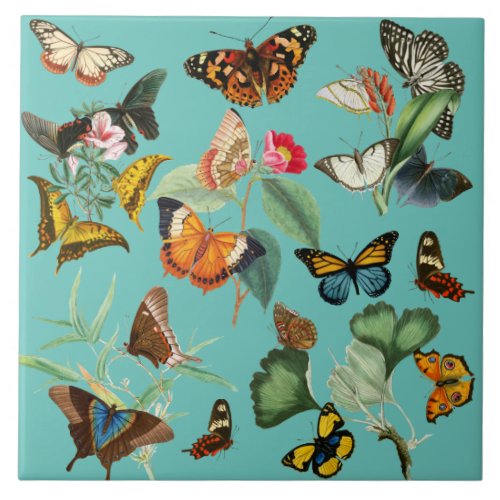 Vintage Butterfly Art Many Kinds and Colors Ceramic Tile