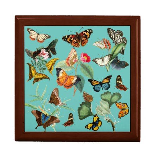 Vintage Butterfly Art Many Kinds and Colors Gift Box