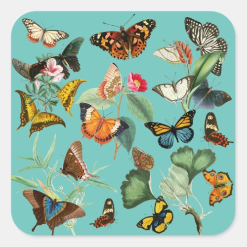 Vintage Butterfly Art Many Kinds and Colors Square Sticker