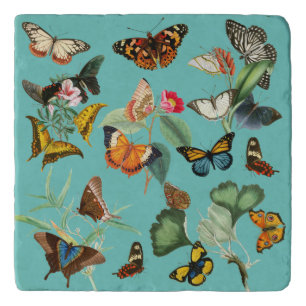 Vintage Butterfly Art, Many Kinds & Colors Trivet