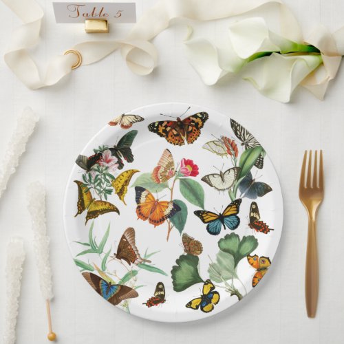 Vintage Butterfly Art Many Kinds  Colors White Paper Plates