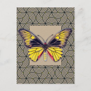Vintage Butterfly Art Postcard by Kinder_Kleider at Zazzle