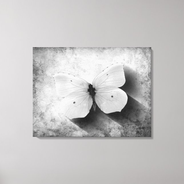 Vintage Butterfly Black and White Canvas Print (Front)