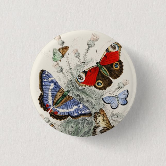 Vintage Butterfly Botanical Scientific Illustratio Button (Front)
