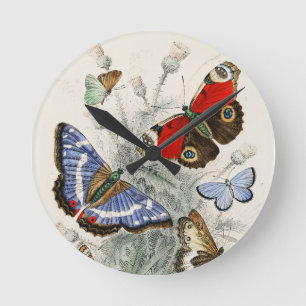 Vintage Butterfly Botanical Scientific Illustratio Round Clock