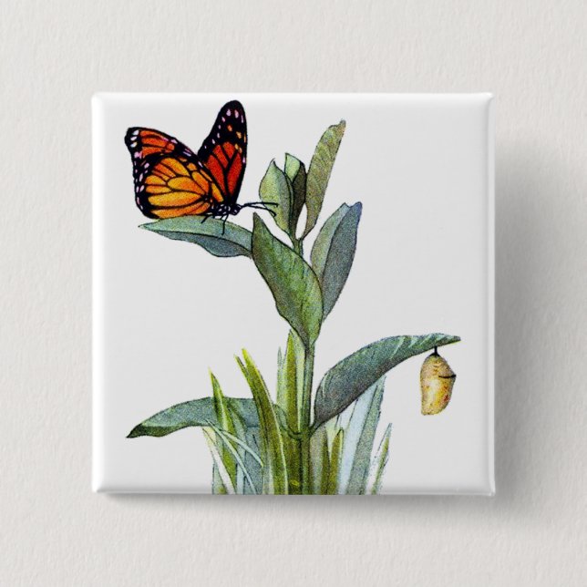 Vintage Butterfly Button (Front)