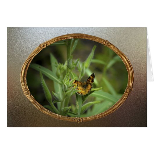 Vintage Butterfly Cards (Front Horizontal)
