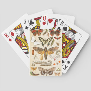 Vintage Butterfly Caterpillar Old Illustration Art Poker Cards